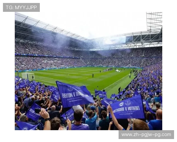 英超新球场：英超新球场建设与球迷体验