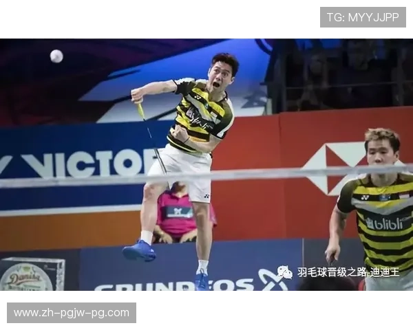 龙羽毛球品牌创新之路：打造全球竞技与休闲结合的新标杆